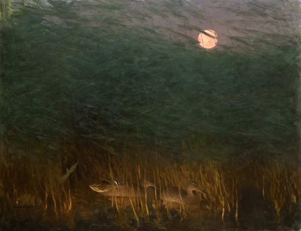 Nocturnal Mood with Wild Ducks 1901 art print by Bruno Liljefors for $57.95 CAD
