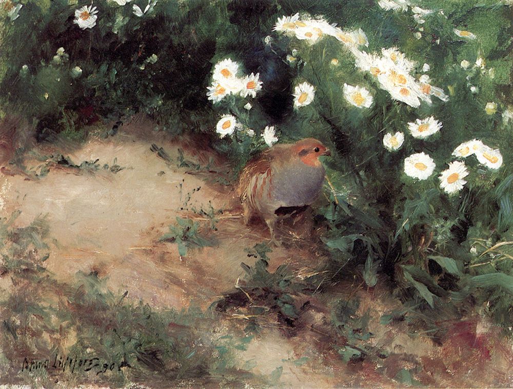 Partridge with Daisies 1890 art print by Bruno Liljefors for $57.95 CAD