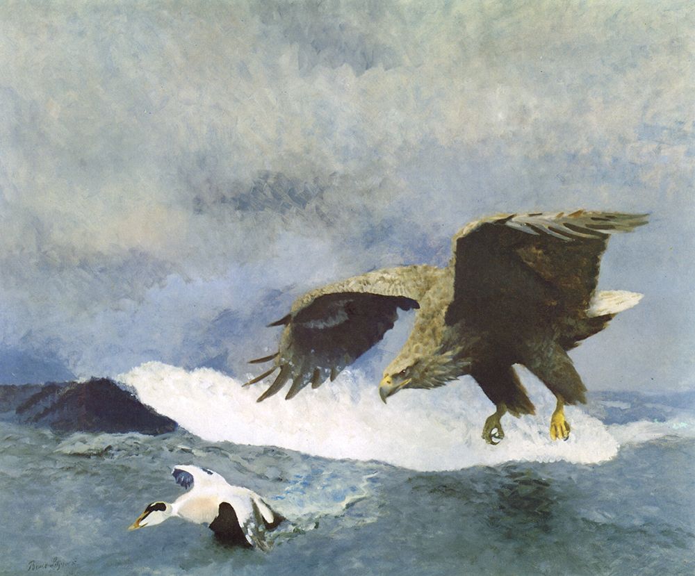 Sea Eagle chasing Eider 1924 art print by Bruno Liljefors for $57.95 CAD
