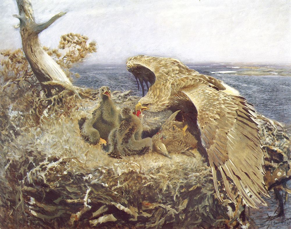 Sea Eagles Nest 1907 art print by Bruno Liljefors for $57.95 CAD