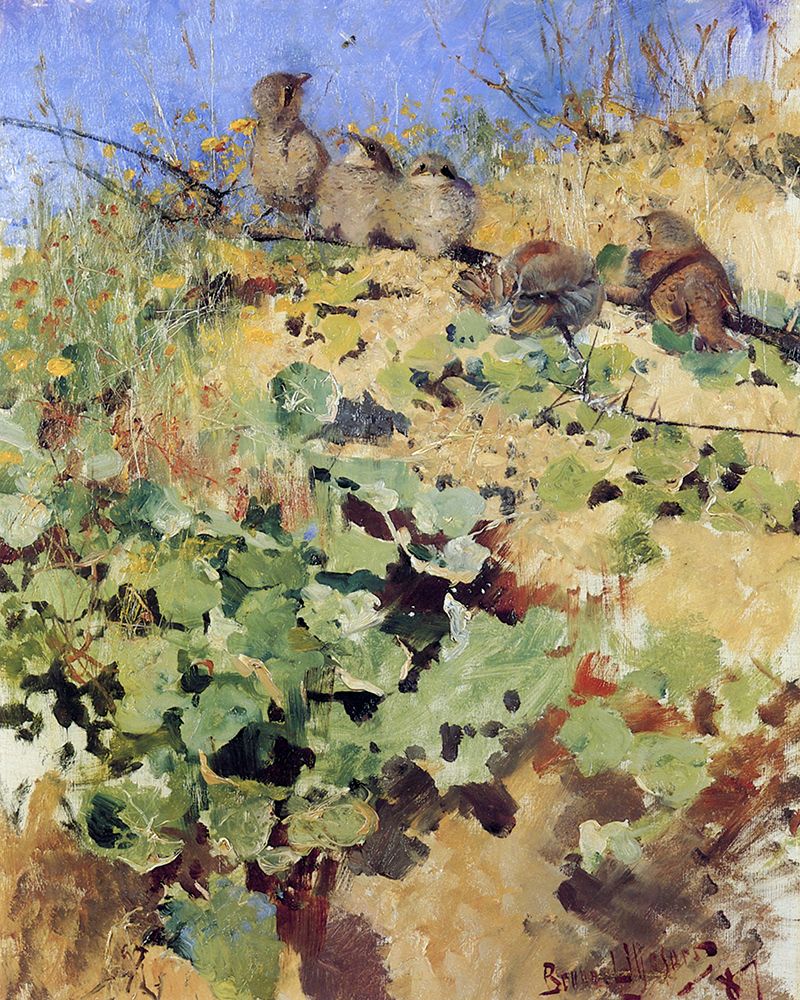 Shrike Fledgelings 1887 art print by Bruno Liljefors for $57.95 CAD