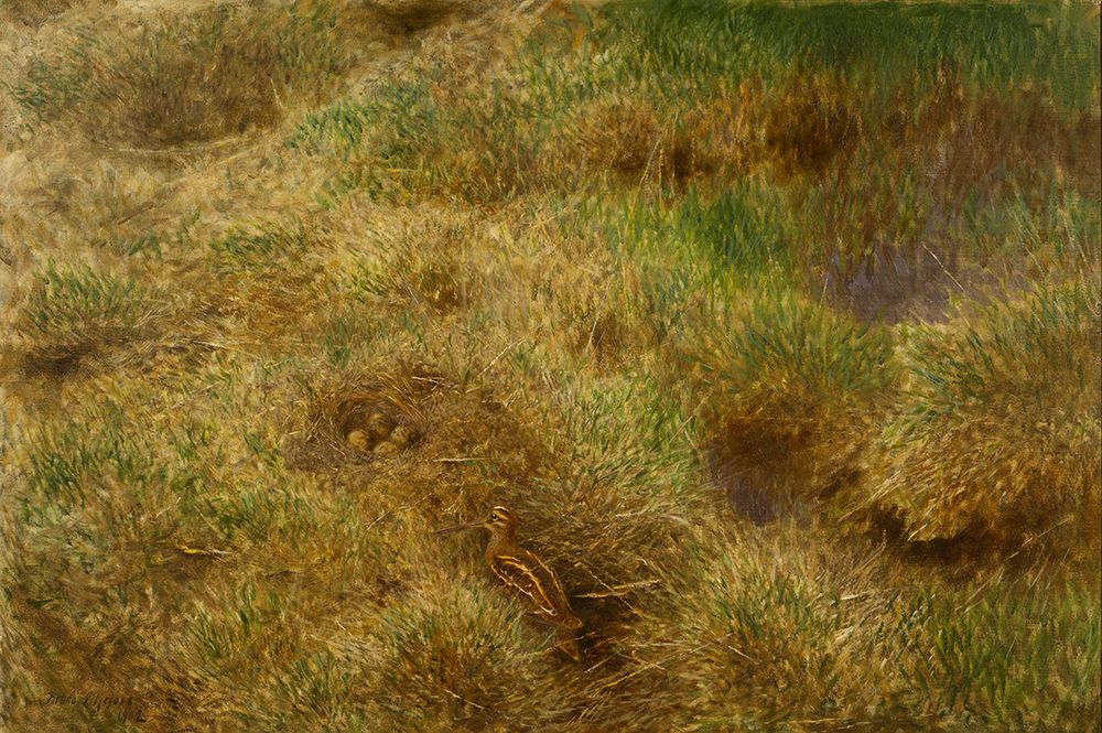 Snipes Nest 1902 art print by Bruno Liljefors for $57.95 CAD
