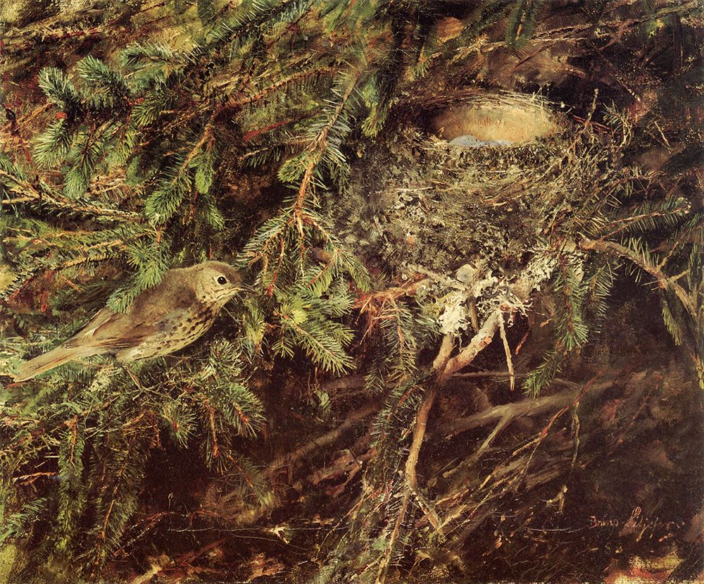 Song Thrush at Nest 1888 art print by Bruno Liljefors for $57.95 CAD