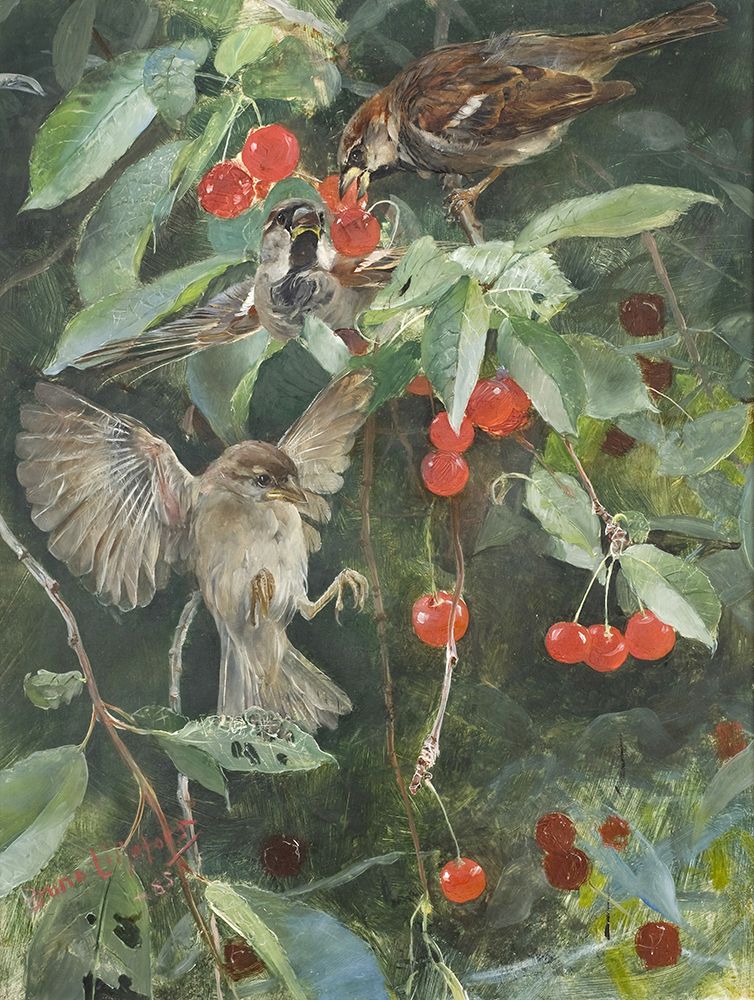 Sparrows in a Cherry Tree 1885 art print by Bruno Liljefors for $57.95 CAD