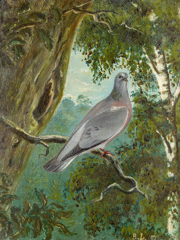 Stock Dove 1879 art print by Bruno Liljefors for $57.95 CAD