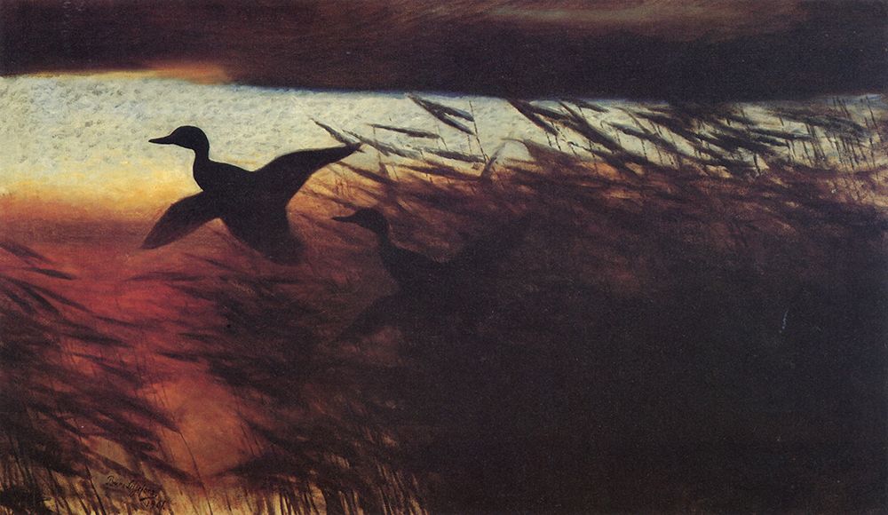 Summer Night, Ducks Lifting 1901 art print by Bruno Liljefors for $57.95 CAD