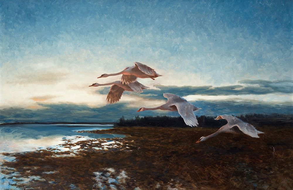 Swans 1924 art print by Bruno Liljefors for $57.95 CAD