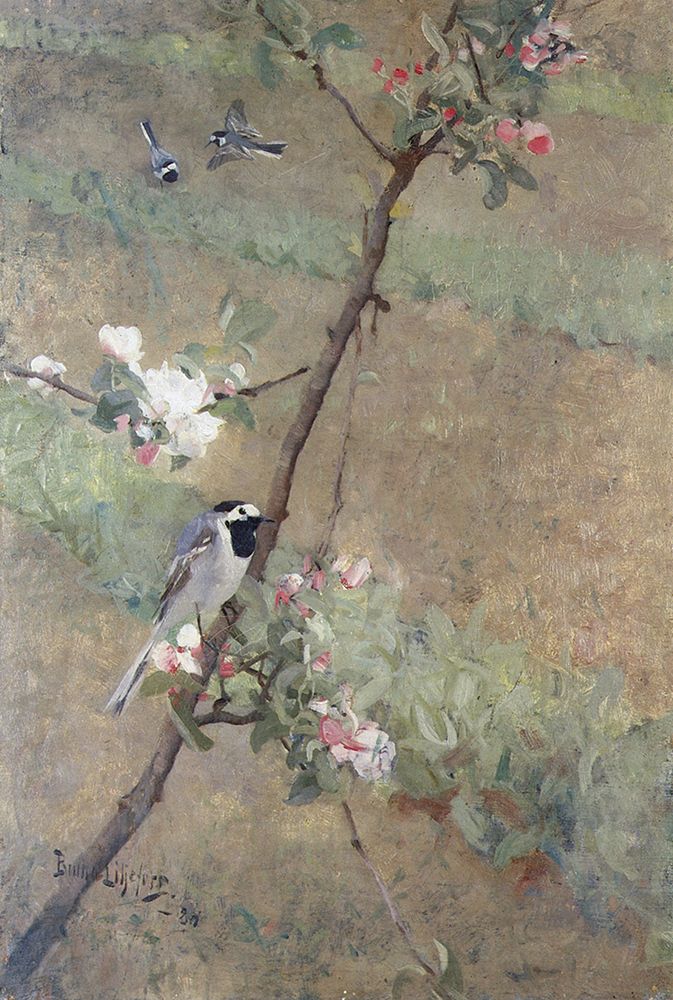 Wagtails 1884 art print by Bruno Liljefors for $57.95 CAD