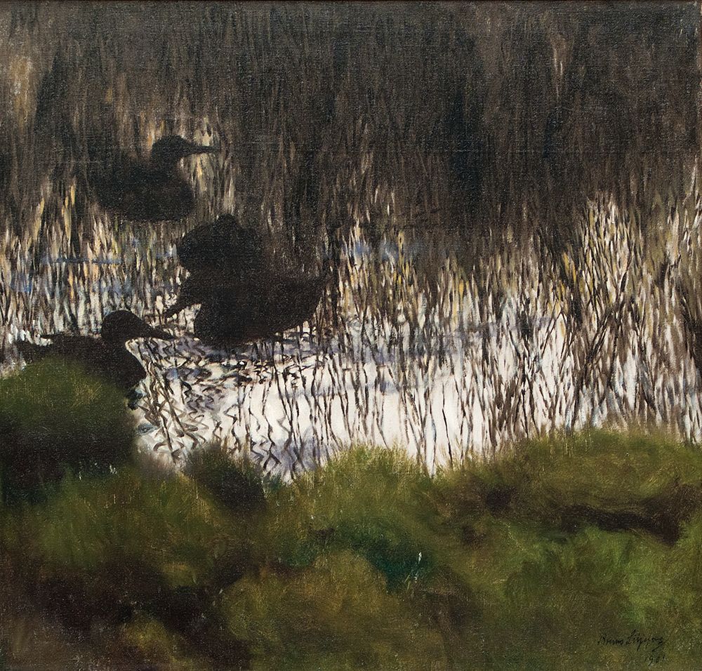 Wild Ducks in Reeds 1901 art print by Bruno Liljefors for $57.95 CAD