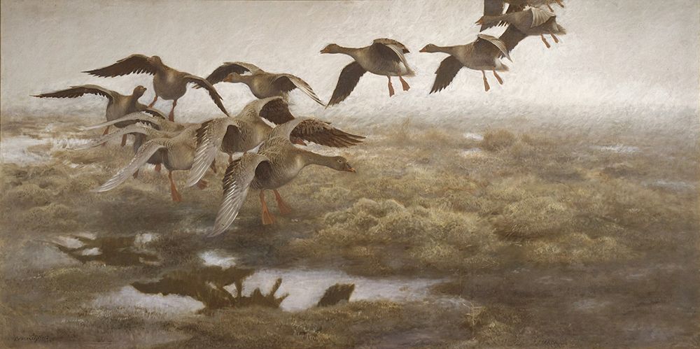 Wildgeese Settling 1907 art print by Bruno Liljefors for $57.95 CAD