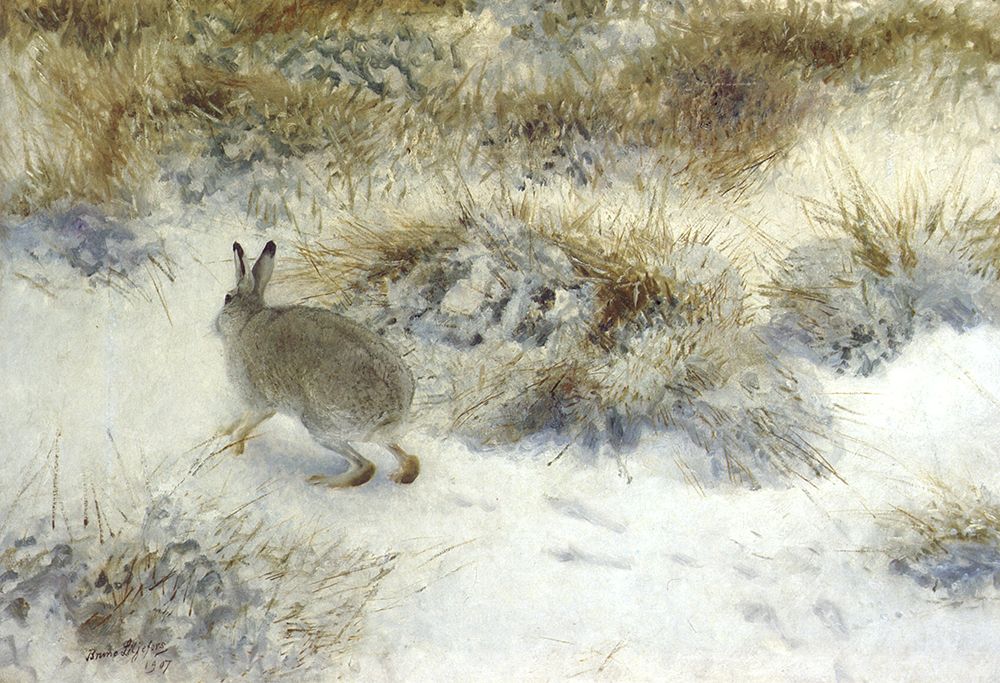 Winter Hare 1907 art print by Bruno Liljefors for $57.95 CAD