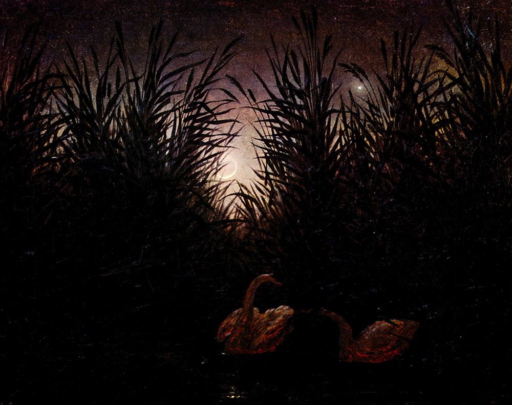 Swans in the Bushes ca 1820 art print by Caspar David Friedrich for $57.95 CAD