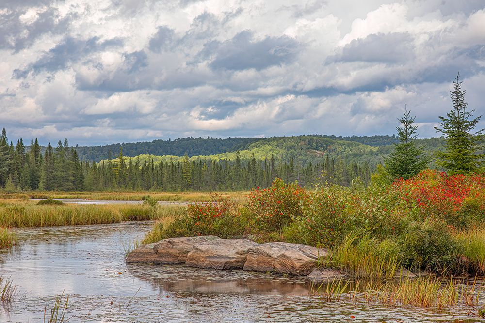 Costello Creek, Algonquin Park art print by Jim Cumming for $57.95 CAD