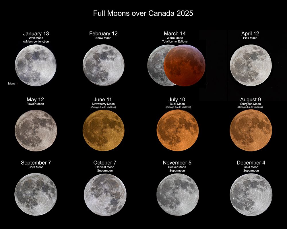 Full Moons 2025 art print by Jim Cumming for $57.95 CAD