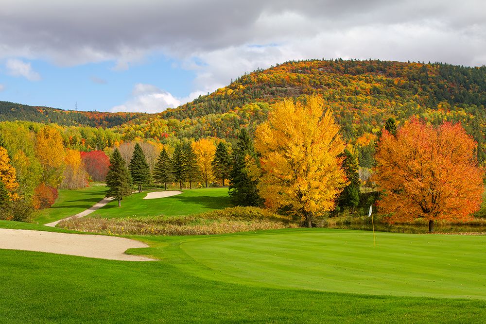 Golf Course in Autumn art print by Jim Cumming for $57.95 CAD