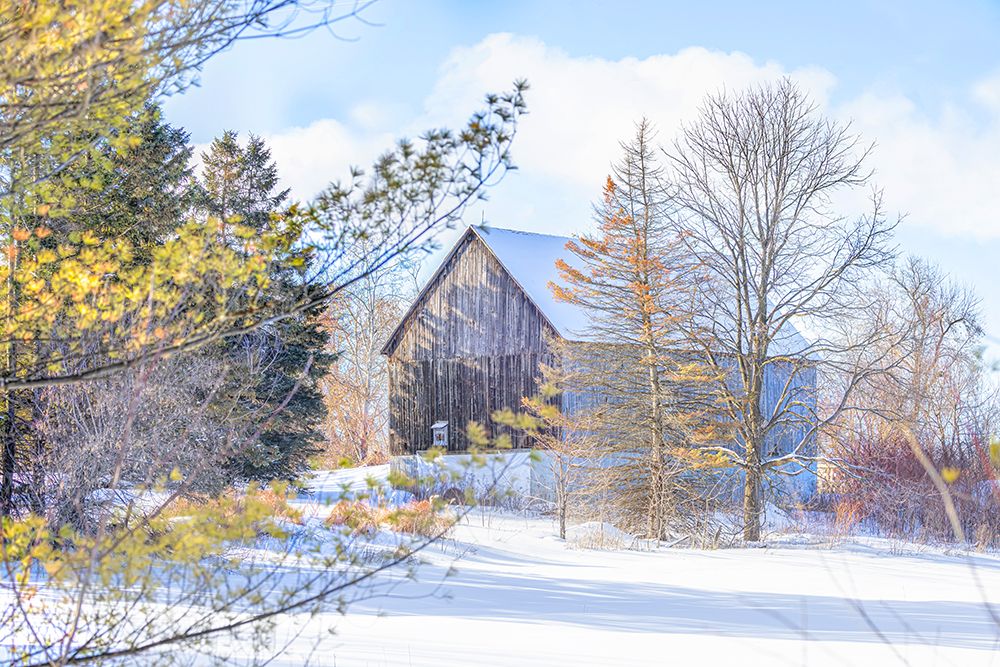 Old Barn Maxville, Ontario art print by Jim Cumming for $57.95 CAD