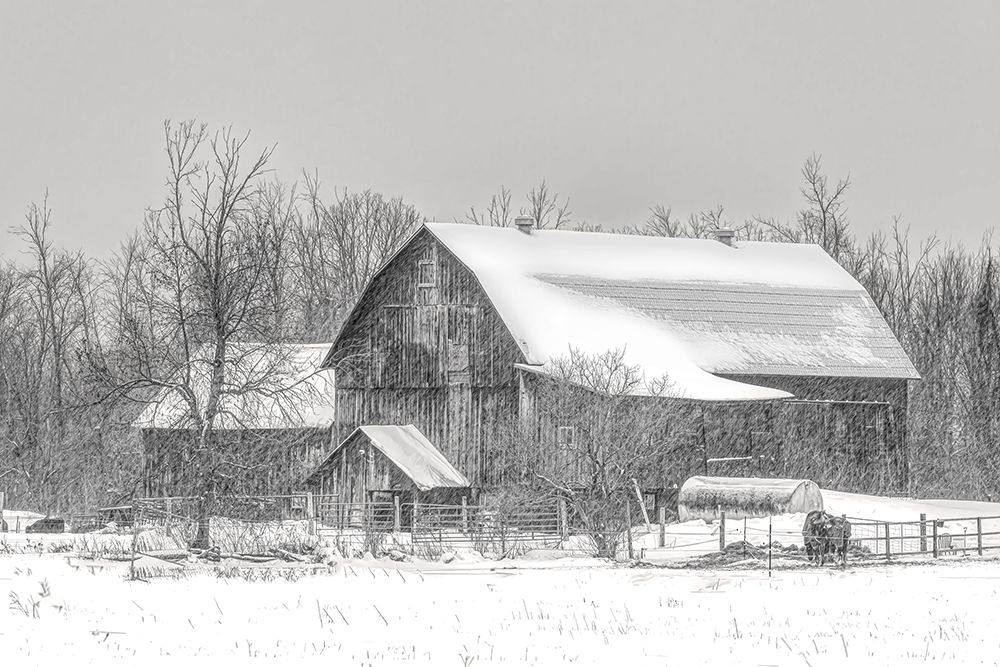 Old Barn Richmond, Ontario I art print by Jim Cumming for $57.95 CAD