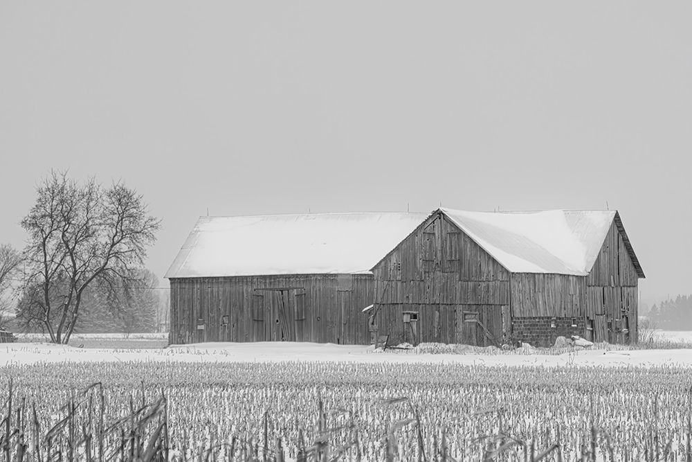 Old Barn Richmond, Ontario II art print by Jim Cumming for $57.95 CAD