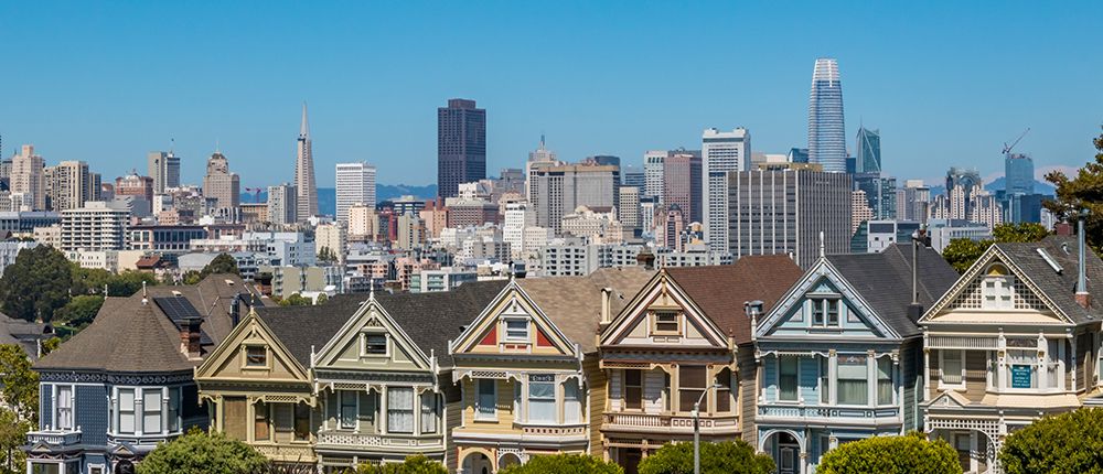 Painted Ladies with City Skyline II art print by Richard Silver for $57.95 CAD