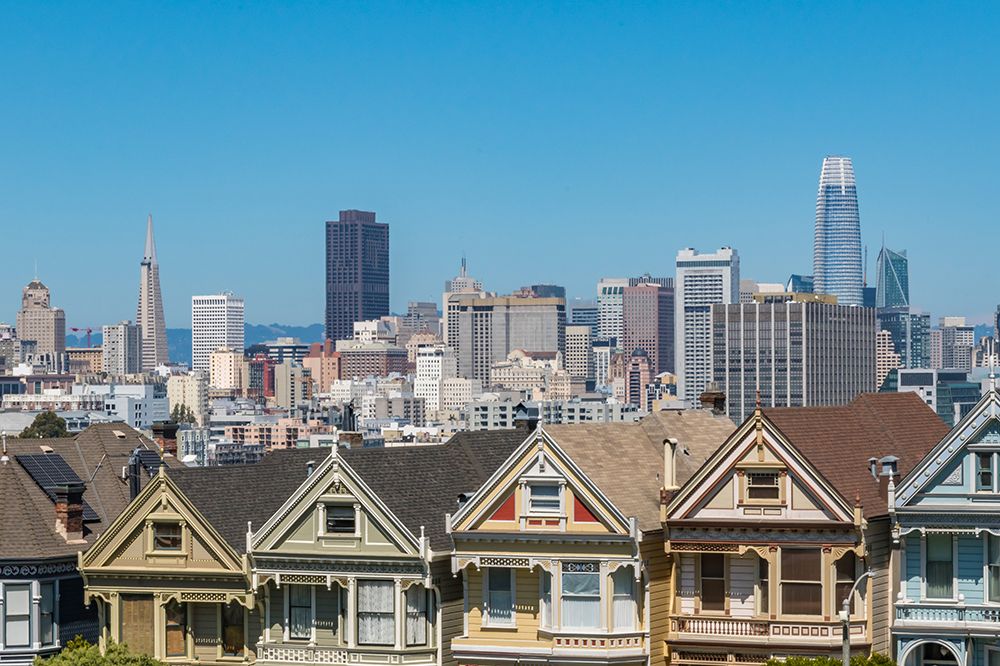 Painted Ladies with City Skyline III art print by Richard Silver for $57.95 CAD