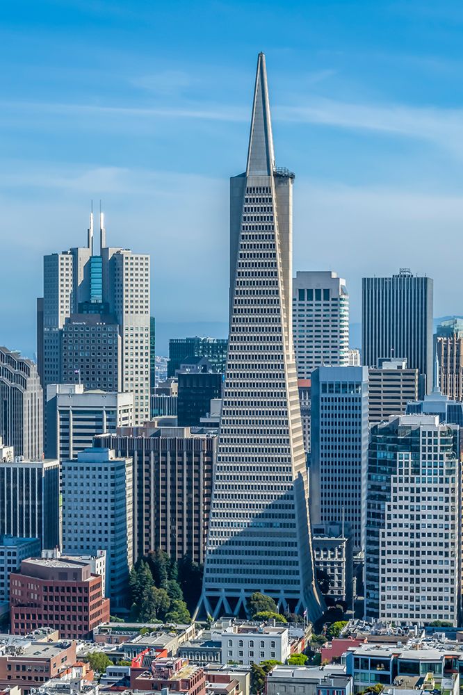 Transamerica Pyramid Aerial View art print by Richard Silver for $57.95 CAD