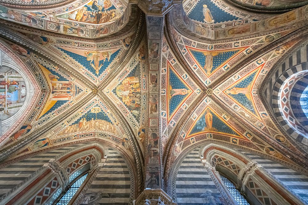 Siena Cathedral Vaulted Ceiling art print by Richard Silver for $57.95 CAD