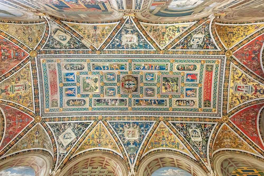 Piccolomini Library Gilded Ceiling II art print by Richard Silver for $57.95 CAD