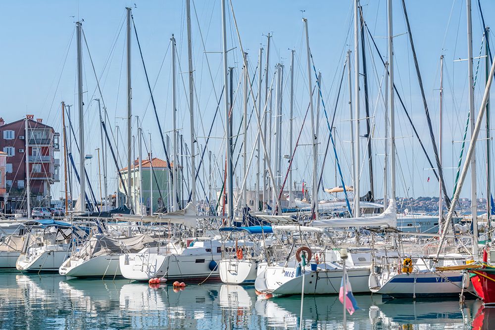 Marina with Sailboats III art print by Richard Silver for $57.95 CAD