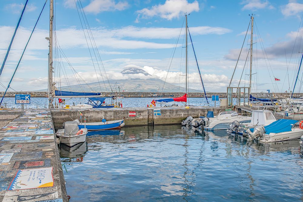 Harbor with Snowcapped Peak I art print by Richard Silver for $57.95 CAD