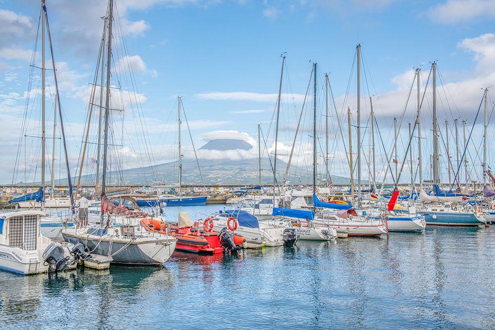 Harbor with Snowcapped Peak II art print by Richard Silver for $57.95 CAD