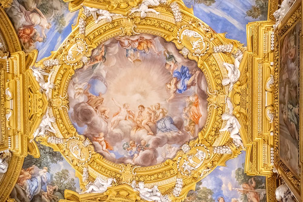 Palazzo Pitti Gilded Ceiling II art print by Richard Silver for $57.95 CAD
