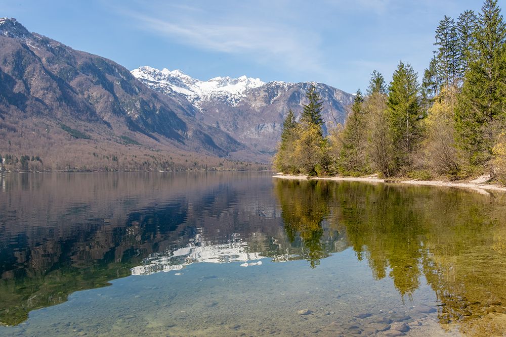 Lake Bohinj Shoreline II art print by Richard Silver for $57.95 CAD