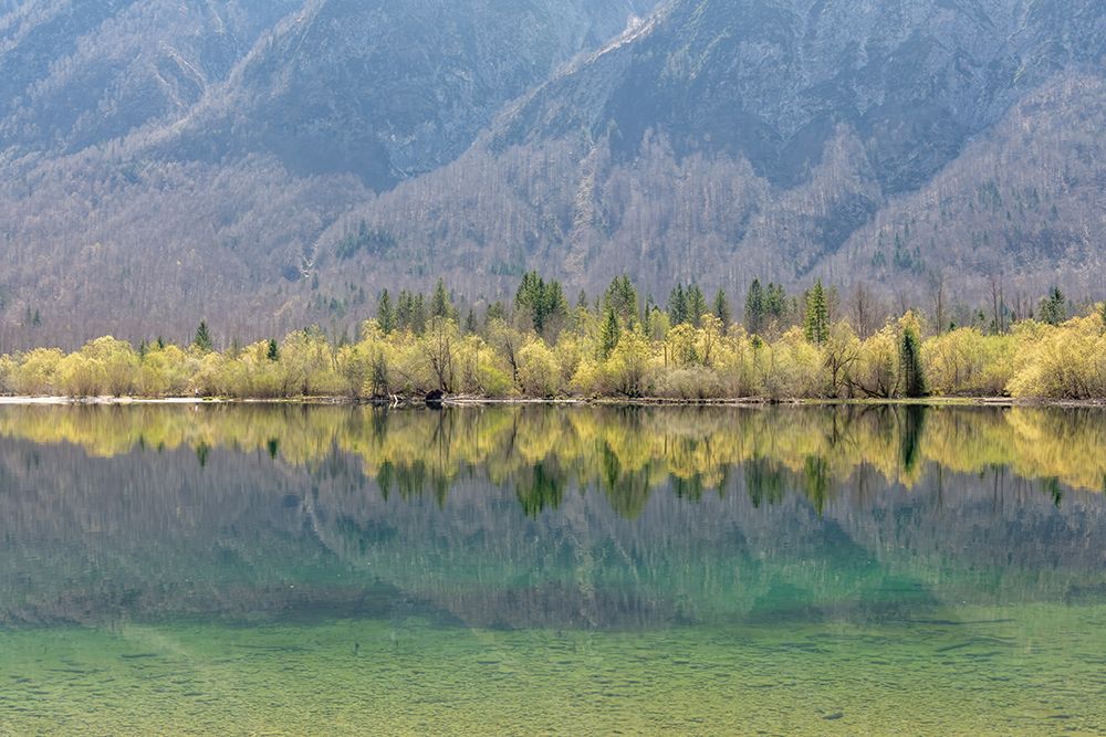 Lake Bohinj Emerald Water art print by Richard Silver for $57.95 CAD
