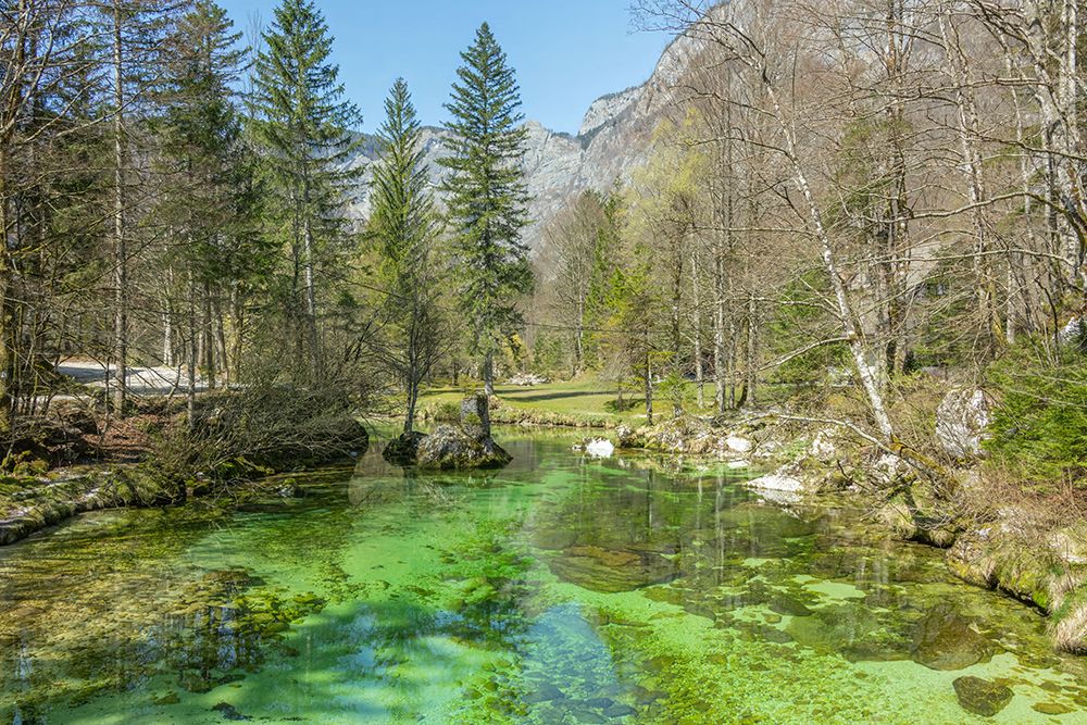 Slovenian Emerald Spring art print by Richard Silver for $57.95 CAD