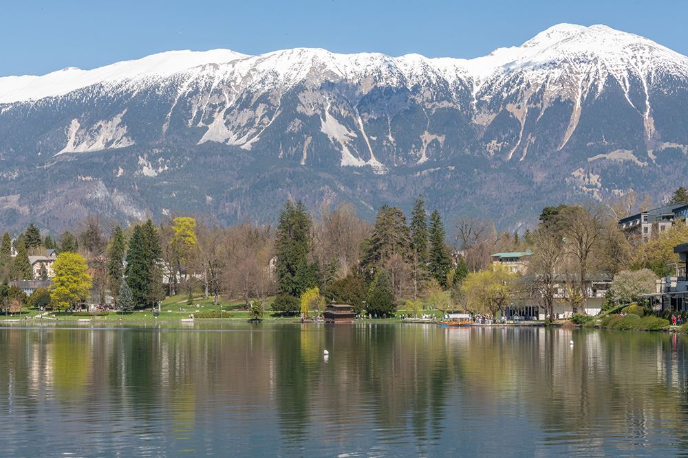 Lake Bled with Snowcapped Alps art print by Richard Silver for $57.95 CAD