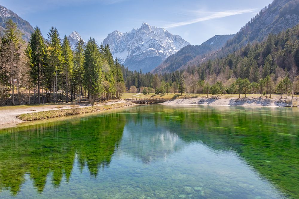 Zelenci Nature Reserve Spring II art print by Richard Silver for $57.95 CAD