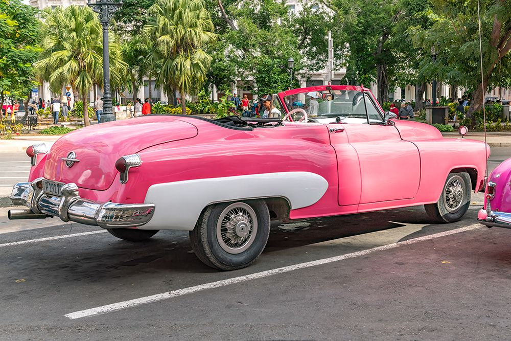 Pink Convertible Havana Palms art print by Richard Silver for $57.95 CAD