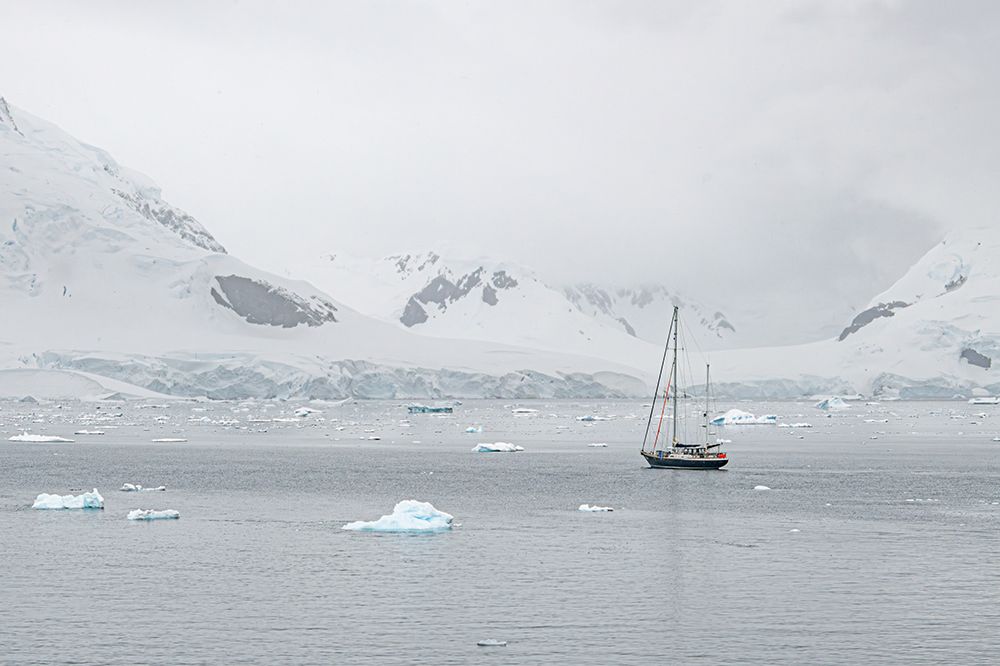 Sailboat in Antarctic Glacier Bay I art print by Richard Silver for $57.95 CAD