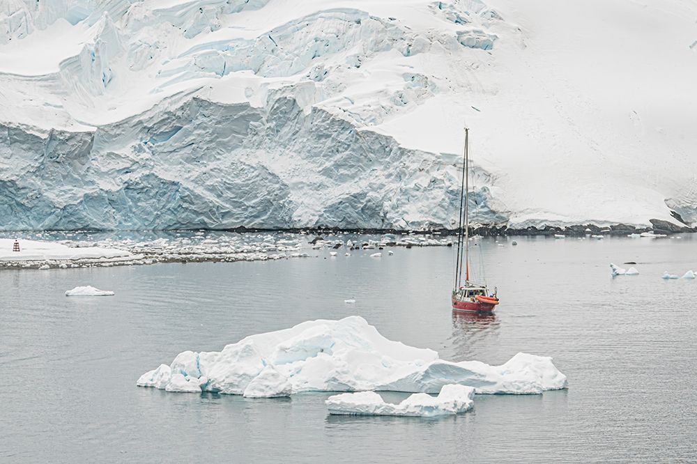 Red Sailboat Near Penguin Colony art print by Richard Silver for $57.95 CAD