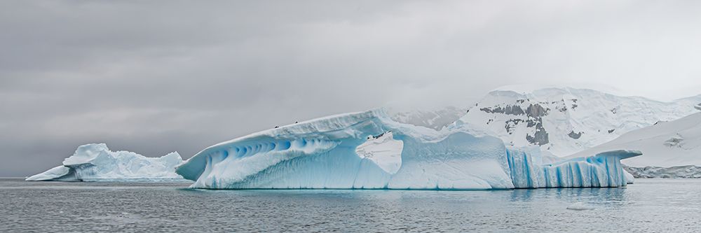Panoramic Blue Striated Iceberg art print by Richard Silver for $57.95 CAD
