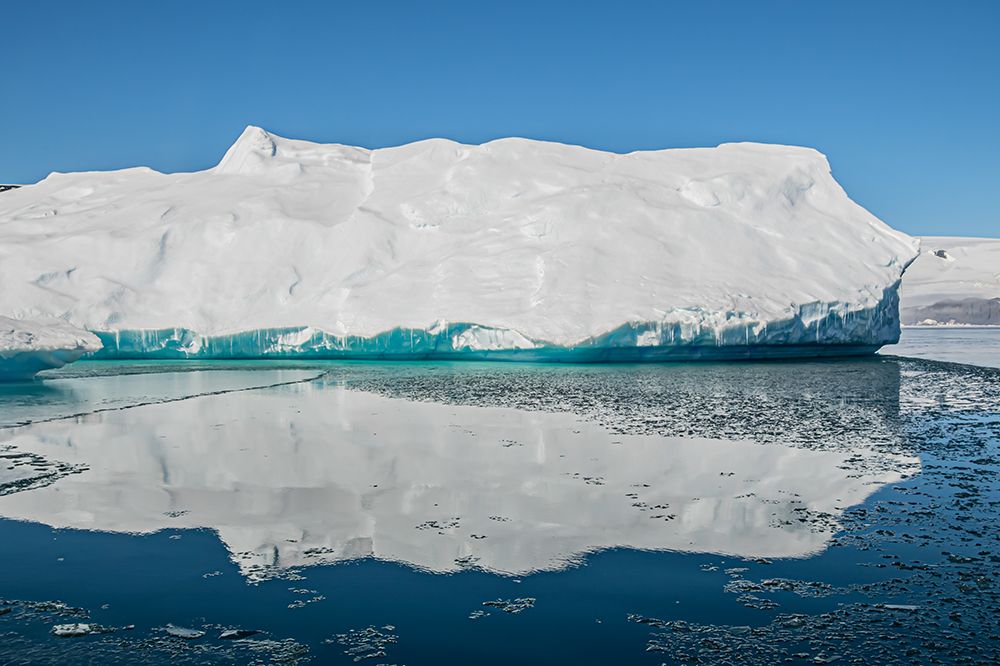Rounded Iceberg Turquoise Waterline art print by Richard Silver for $57.95 CAD