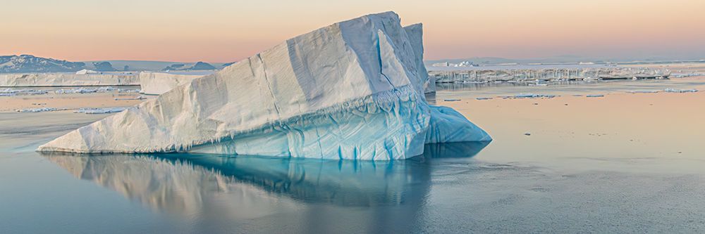 Panoramic Wedge Iceberg with Birds art print by Richard Silver for $57.95 CAD