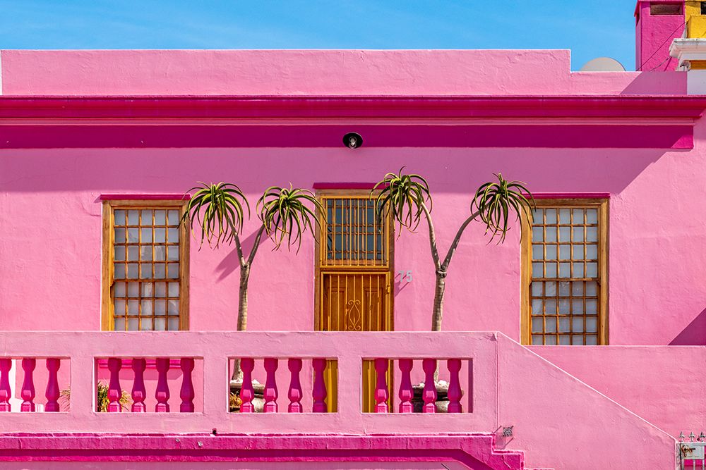 Bo-Kaap Cape Town Pink House with Palms art print by Richard Silver for $57.95 CAD