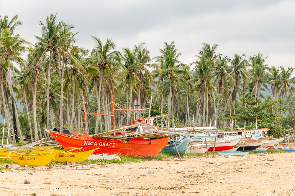 Bangka Boats Beneath Palm Trees, Philippines art print by Richard Silver for $57.95 CAD