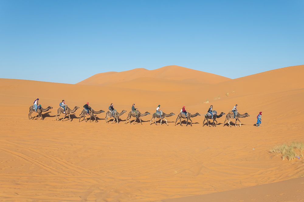 Line of Camels with Riders, Sahara Desert, Morocco art print by Richard Silver for $57.95 CAD