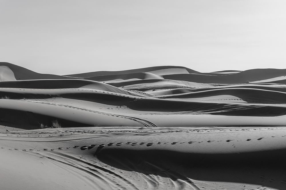Black and White Sand Dune Ripples, Sahara Desert, Morocco art print by Richard Silver for $57.95 CAD