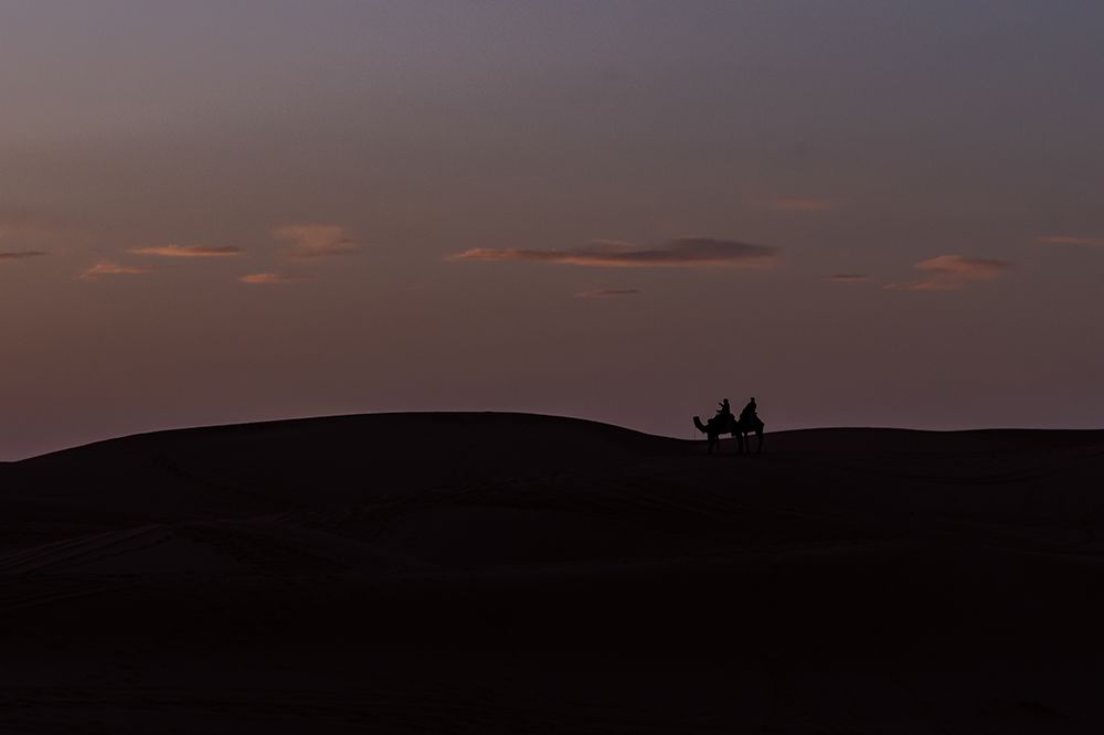 Silhouette of Camel Riders at Dusk, Sahara Desert, Morocco art print by Richard Silver for $57.95 CAD