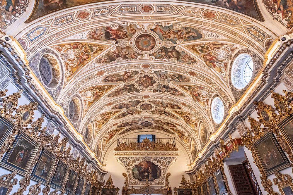 Painted Vaulted Ceiling Gallery, Seville, Spain art print by Richard Silver for $57.95 CAD