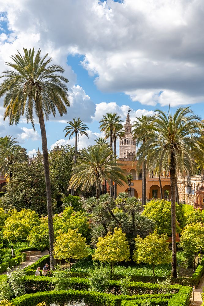Real Alcazar Gardens with Palm Trees, Seville, Spain art print by Richard Silver for $57.95 CAD