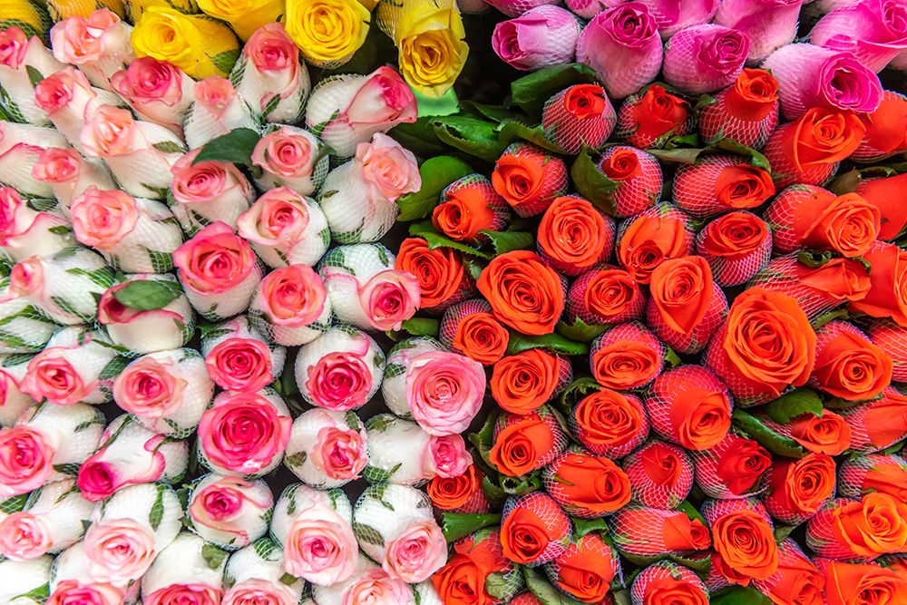 Colorful Rose Bouquets at Flower Market art print by Richard Silver for $57.95 CAD